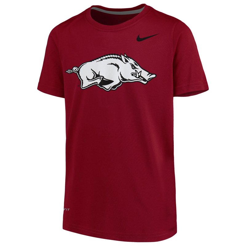 Youth Nike Arkansas Razorbacks Logo Legend Performance T-Shirt-image
