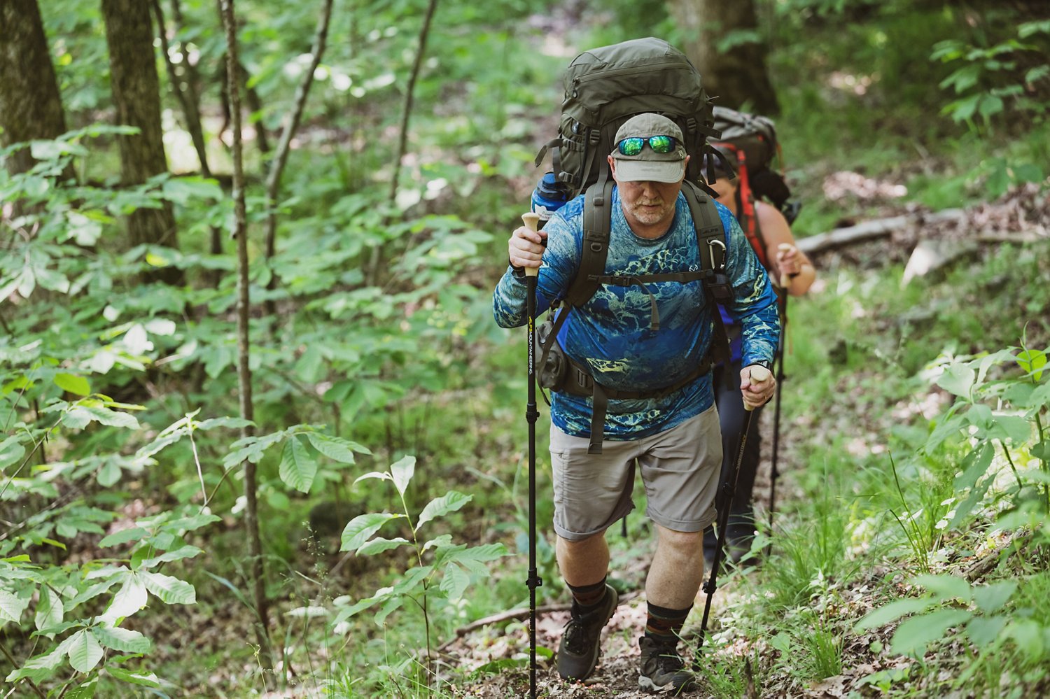 Alps Mountaineering Alliance Trekking Poles                                                                                      - view number 3