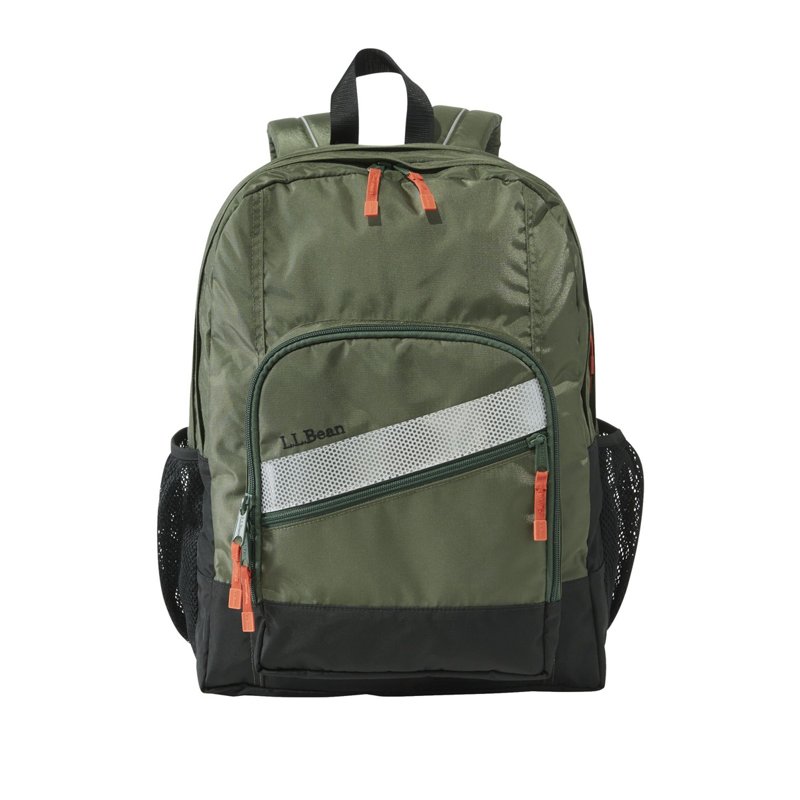 L.L.Bean Deluxe Bac… - image