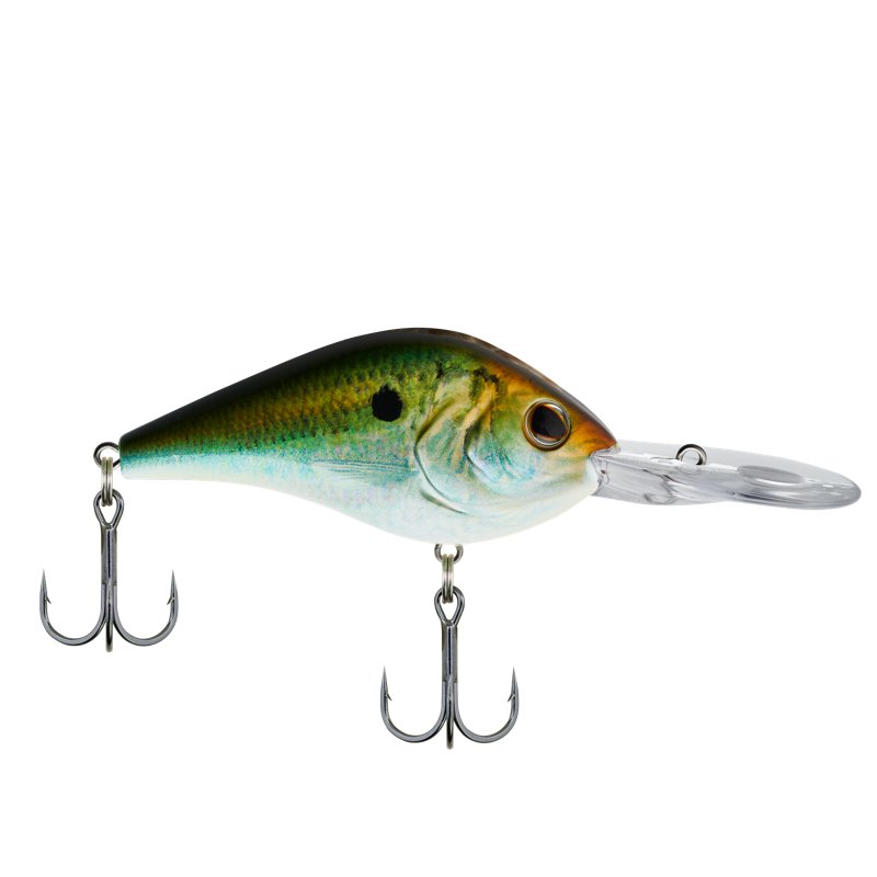 Berkley 14.5 in Dredger Tennessee Shad, 5/8 Oz - Frsh Water Hard Baits at Academy Sports