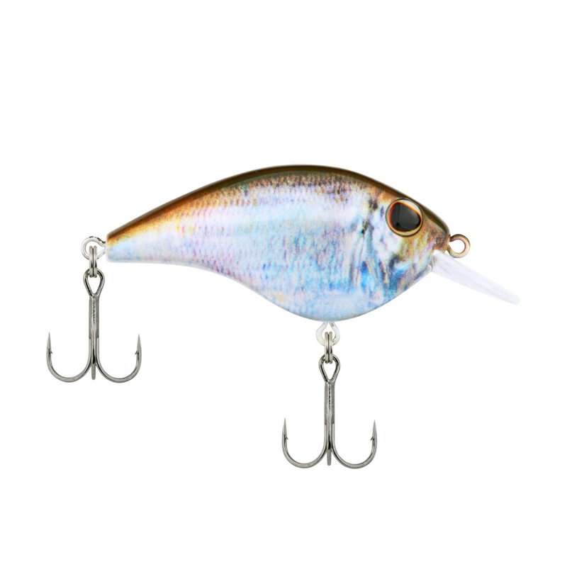 Berkley 5 Junior 1/… - image