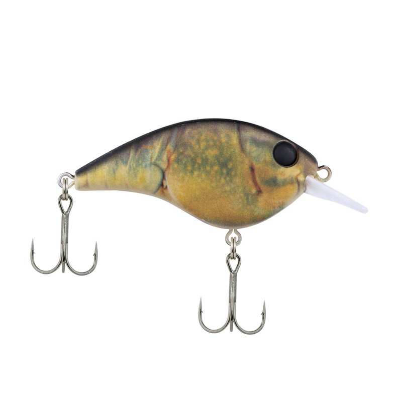 Berkley 5 Junior 1/… - image