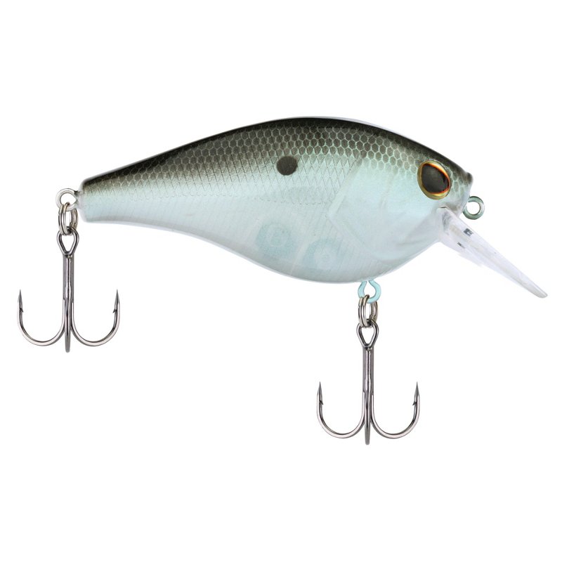 Berkley #7.5 5/8 oz SquareBull Lure Green Shad - Frsh Water Hard Baits at Academy Sports