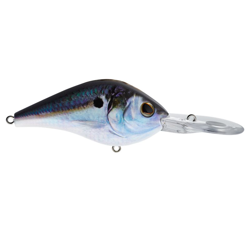Berkley Dredger 1.125 oz Hard Bait Hd Threadfin Shad - Frsh Water Hard Baits at Academy Sports
