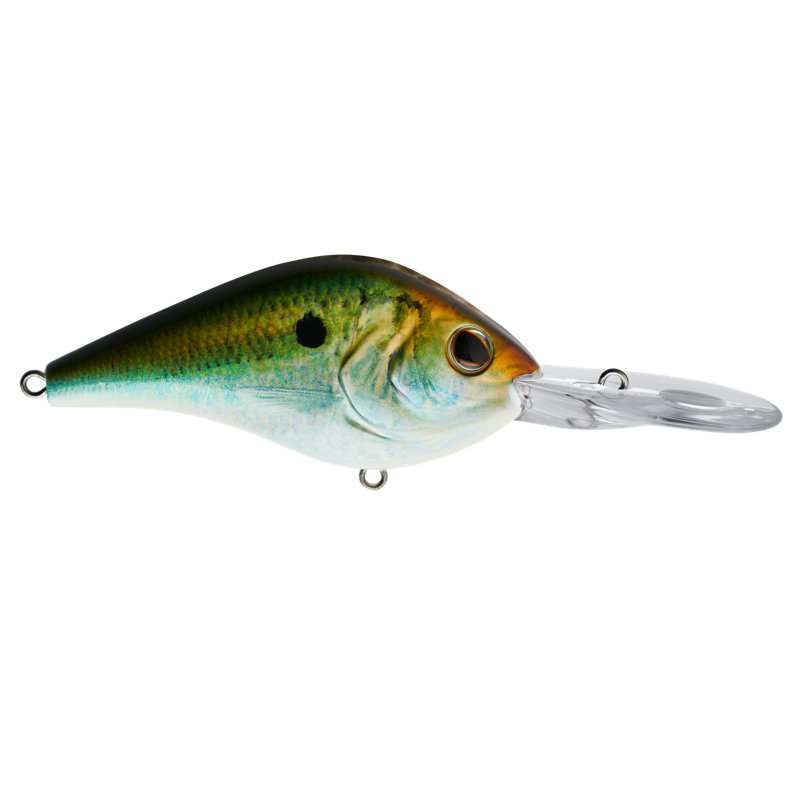 Berkley Dredger 1.125 oz Hard Bait Hd Tennessee Shad - Frsh Water Hard Baits at Academy Sports
