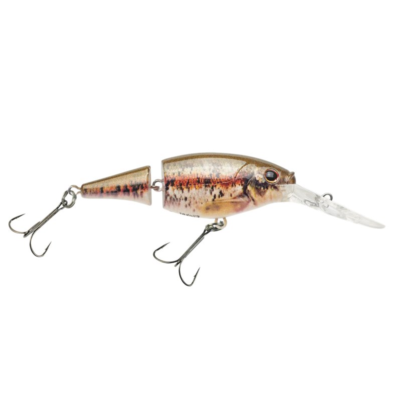 Berkley Flicker Shad Jointed Lure Hd Blacknose Dace, 3/16 Oz - Frsh Water Hard Baits at Academy Sports