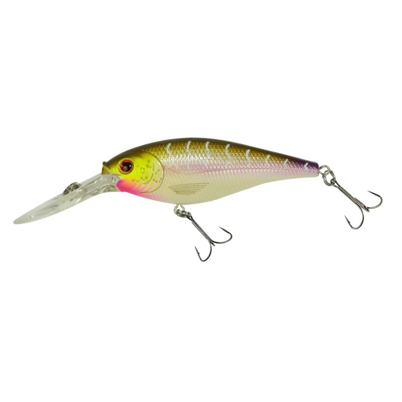 Berkley Flicker Shad Lure Purple Tiger, 1/4 Oz - Frsh Water Hard Baits at Academy Sports