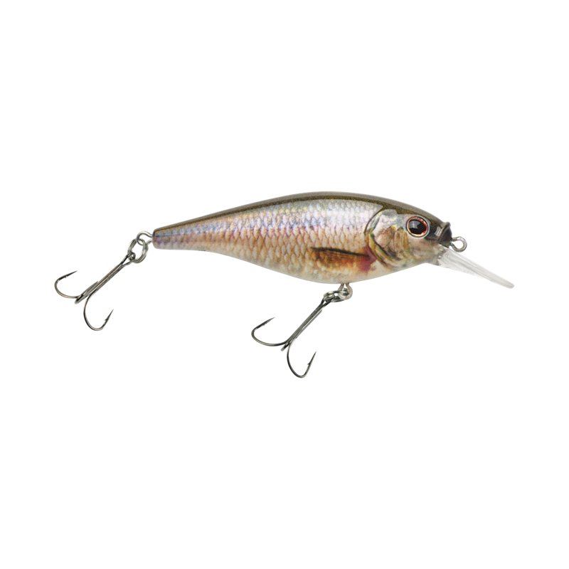Berkley Flicker Shad Shallow Lure Hd Fathead Minnow, 5/32 Oz - Frsh Water Hard Baits at Academy Sports