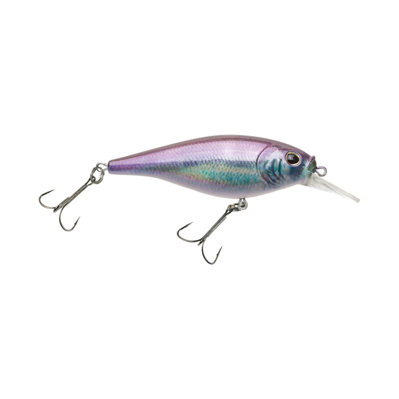 Berkley Flicker Shad Shallow Lure Hd Smelt, 5/32 Oz - Frsh Water Hard Baits at Academy Sports