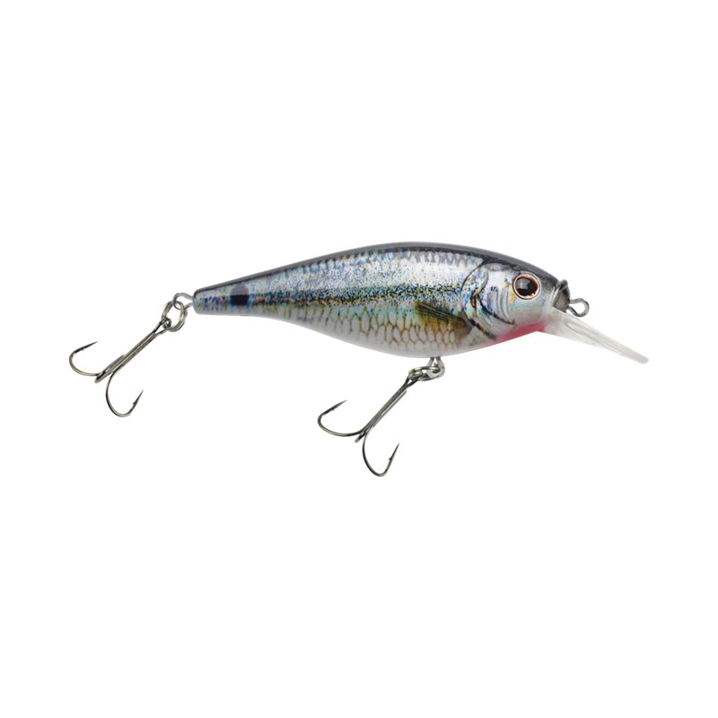 Berkley Flicker Shad Shallow Lure Hd Spottail Shiner, 5/32 Oz - Frsh Water Hard Baits at Academy Sports