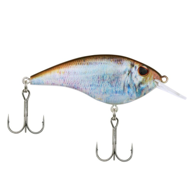 Berkley Frittside 5… - image