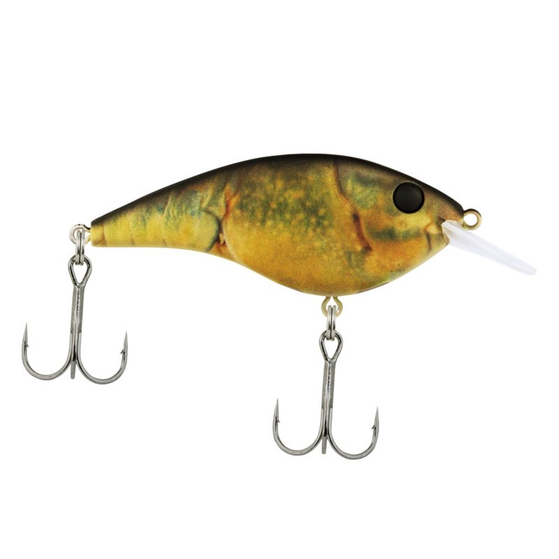 Berkley Frittside 5… - image