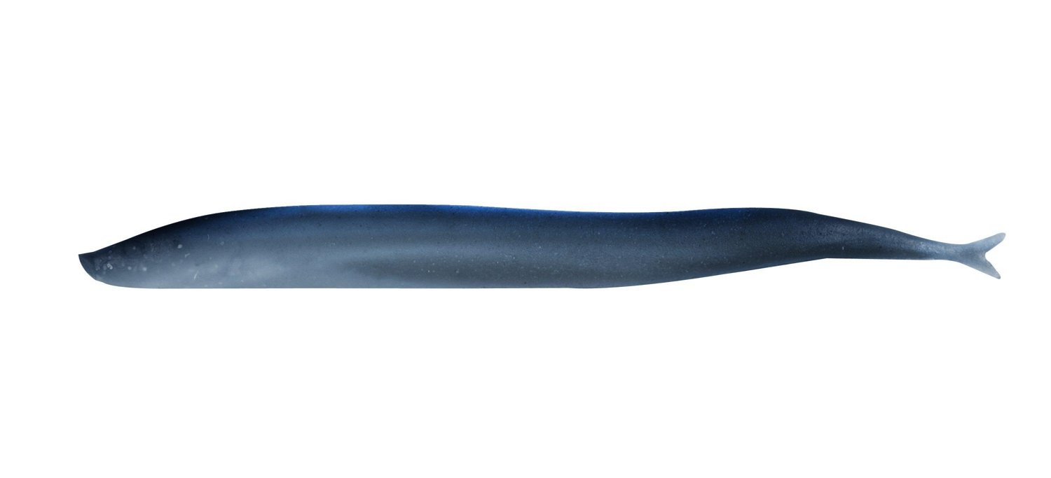 Berkley Gulp!® 5 in Saltwater Sand Eel Baits 6-Pack - view number 1