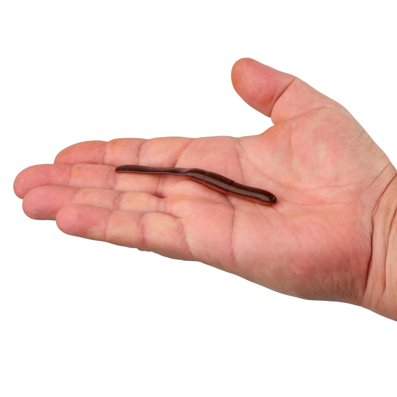 Berkley Gulp! 4in SR Crawler 12-Pack                                                                                             - view number 4