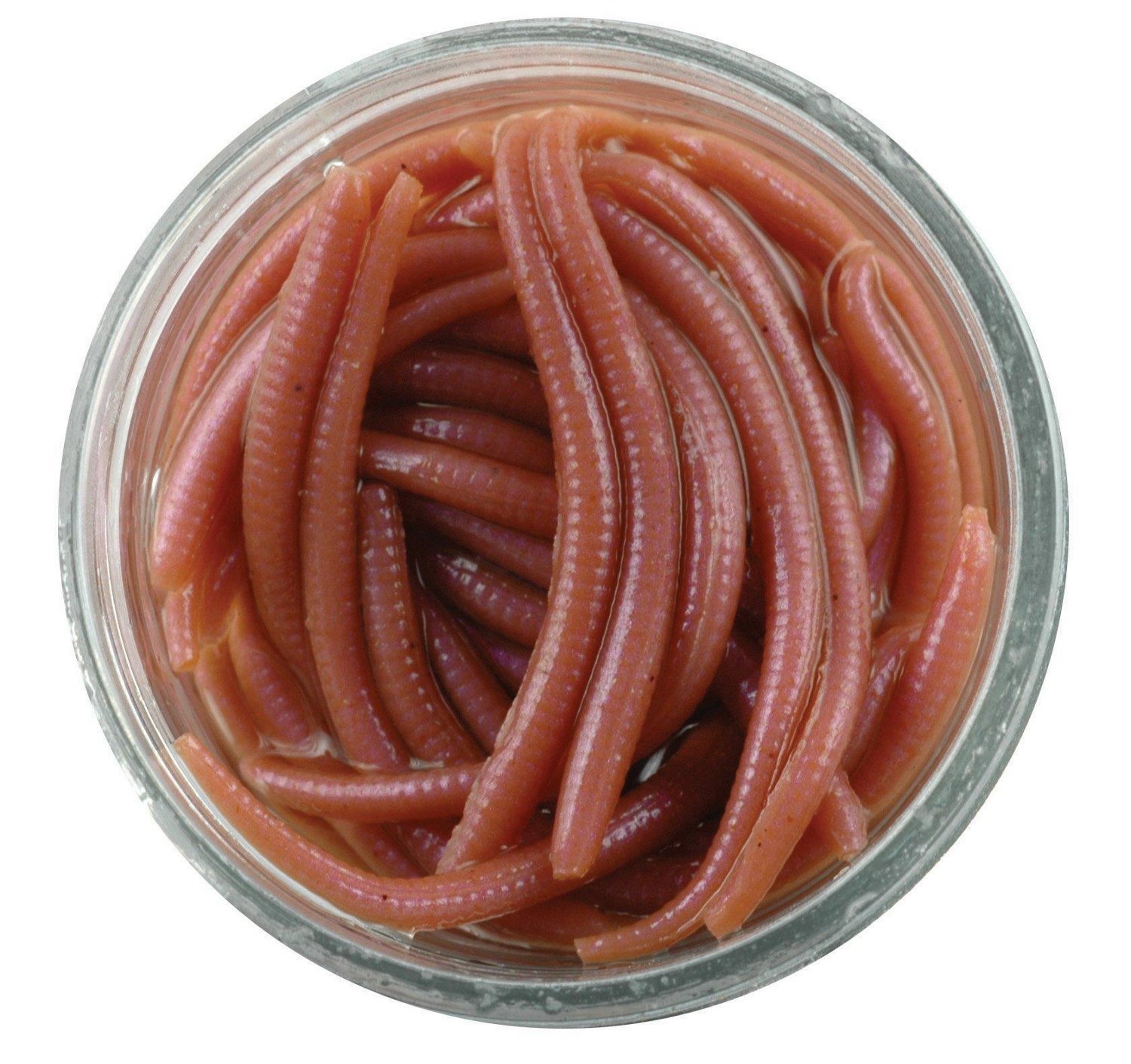 Berkley Gulp Alive Angle Worm 1 in Jar - view number 2