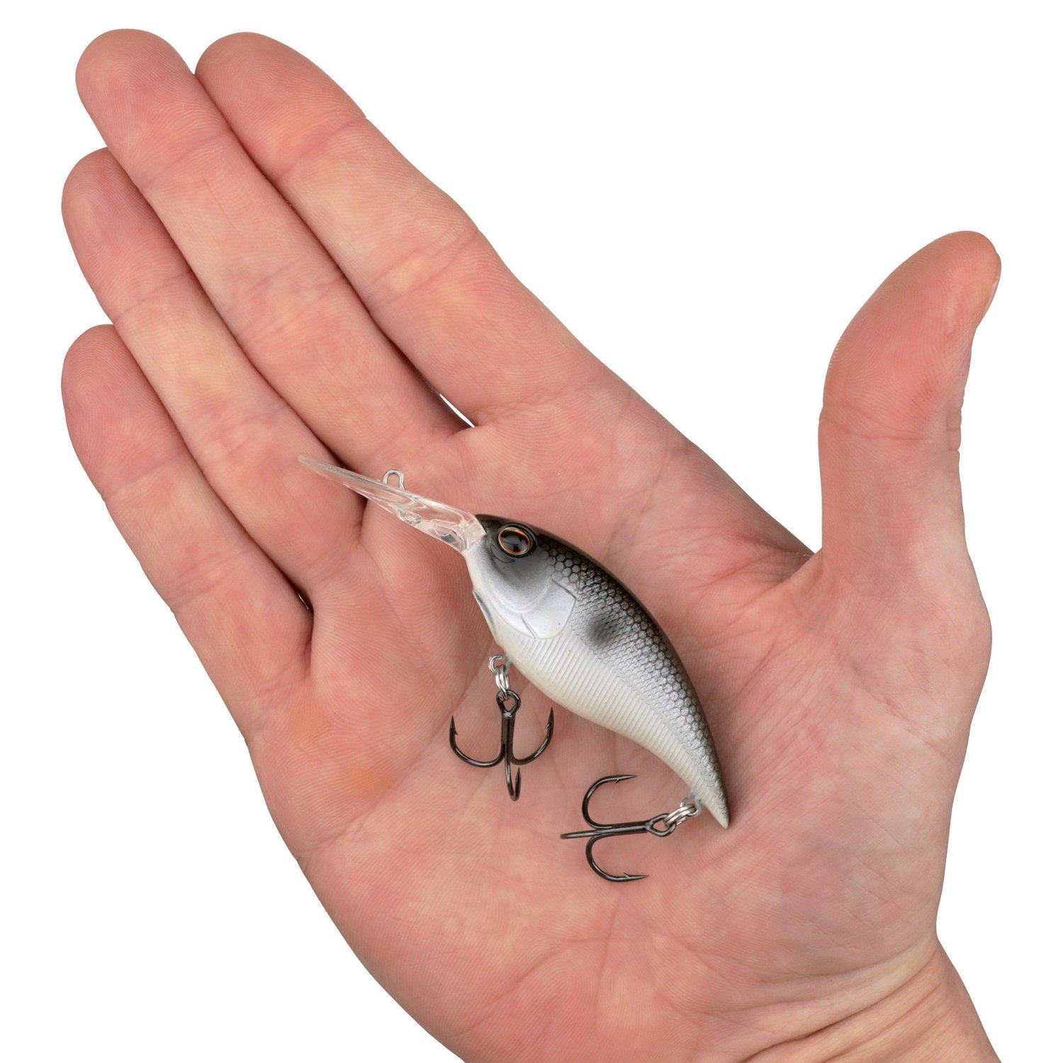 Berkley Money Badger                                                                                                             - view number 4