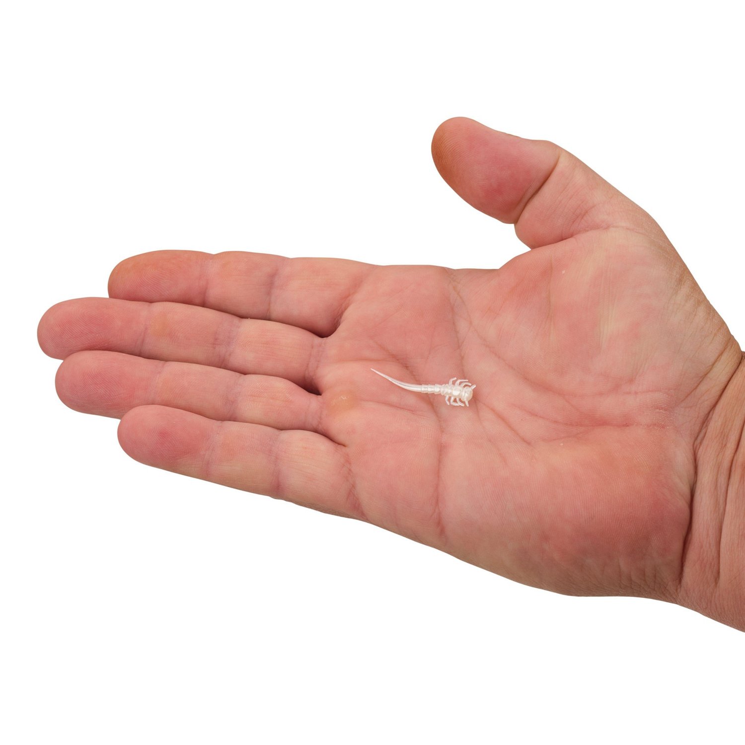 Berkley PowerBait® 1-1/4 in Swordtail Baits 14-Pack - view number 2