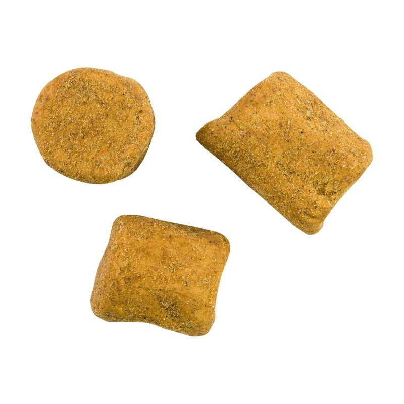 Berkley PowerbaitÂ®… - image