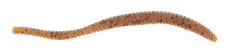 Berkley PowerBait 3 in Power Floating Trout Worms 15-Pack                                                                        - view number 1