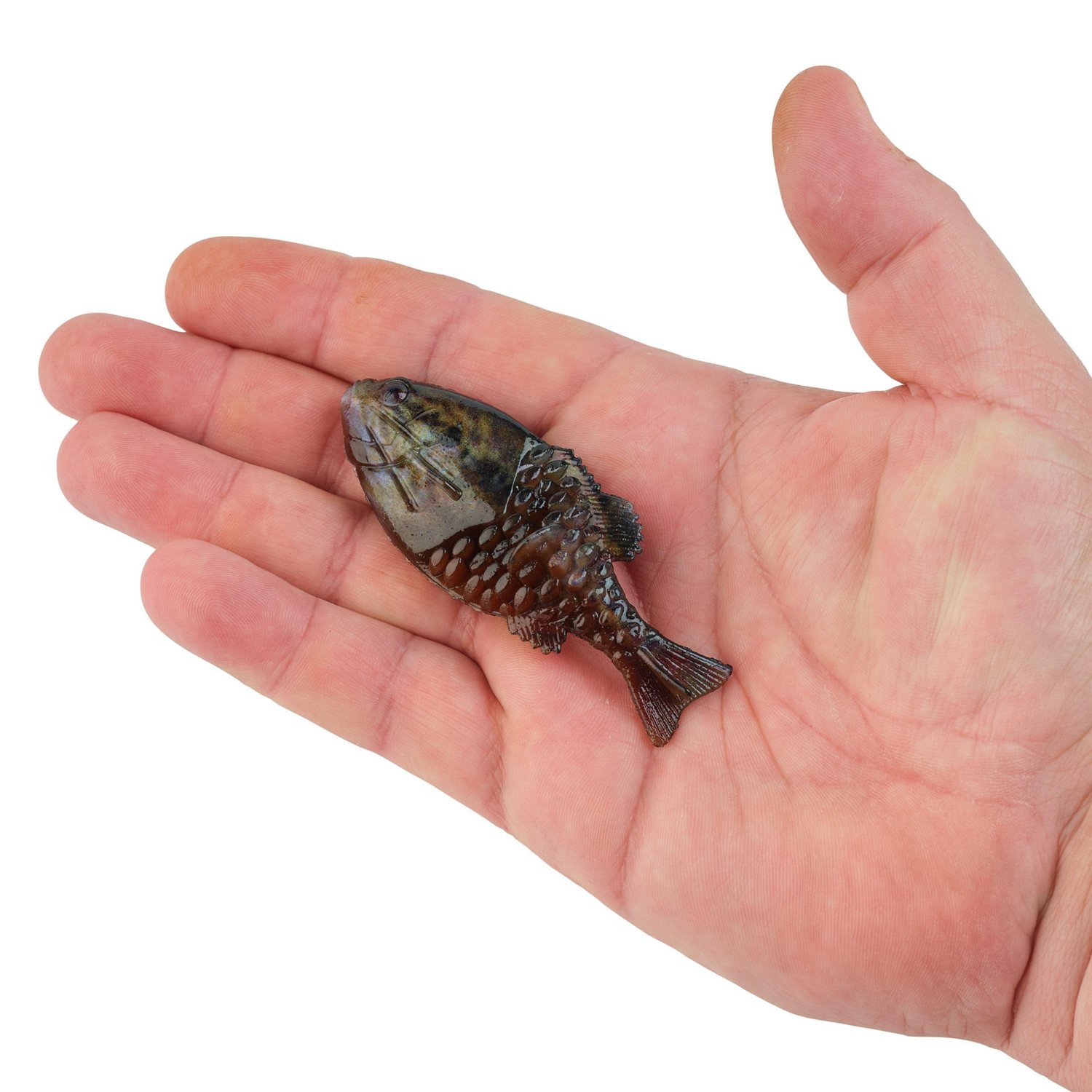 Berkley PowerBait Gilly 3.5 in Soft Bait 4-Pack - view number 3