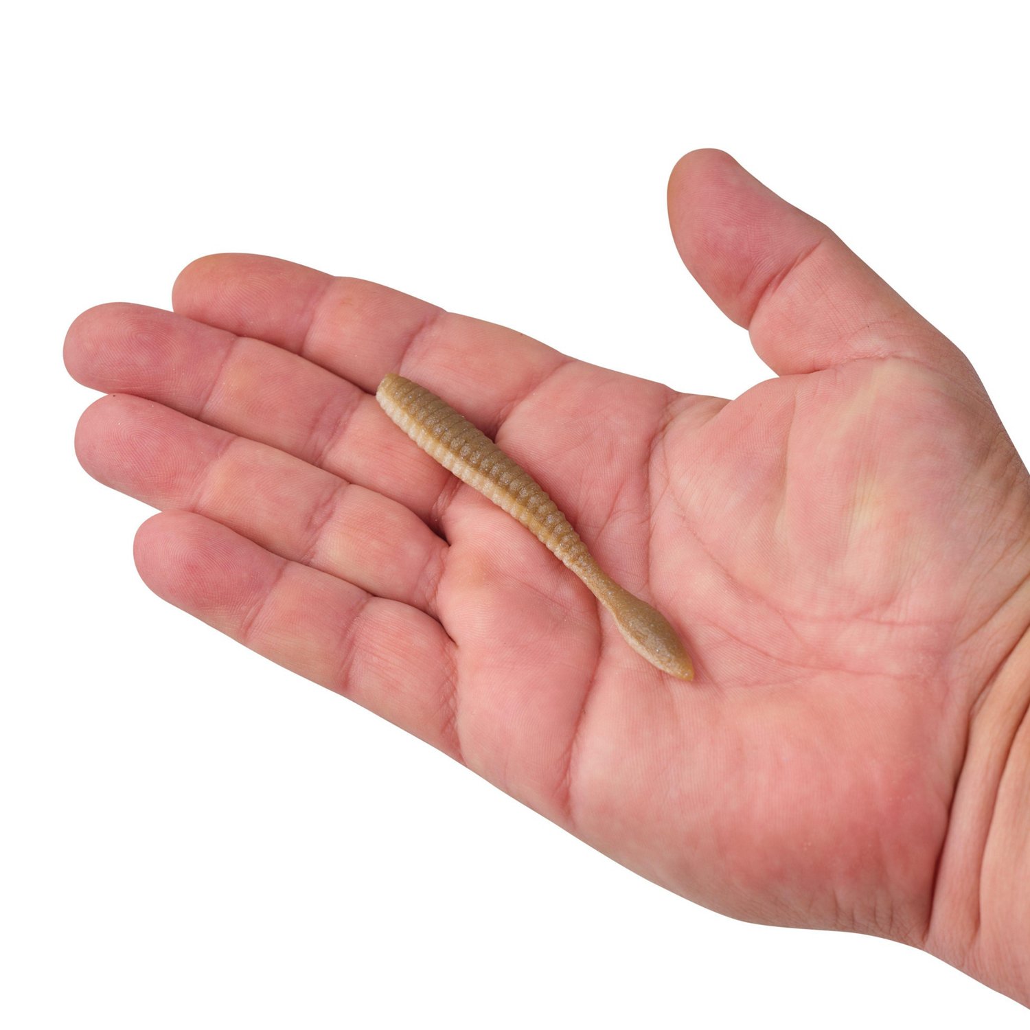 Berkley PowerBait MaxScent Flat Worm 10 Pack                                                                                     - view number 4