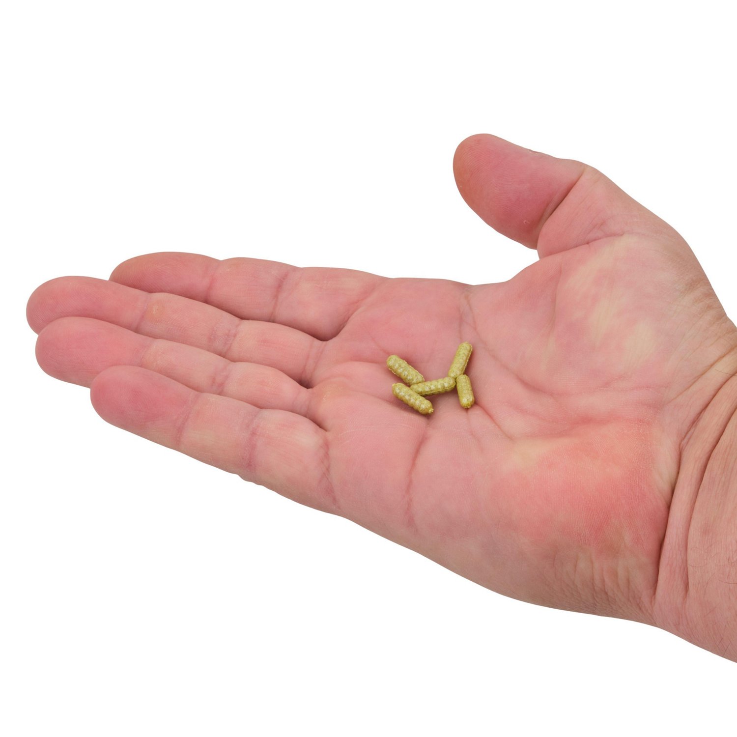 Berkley PowerBait Power Wigglers 75-Pack - view number 3