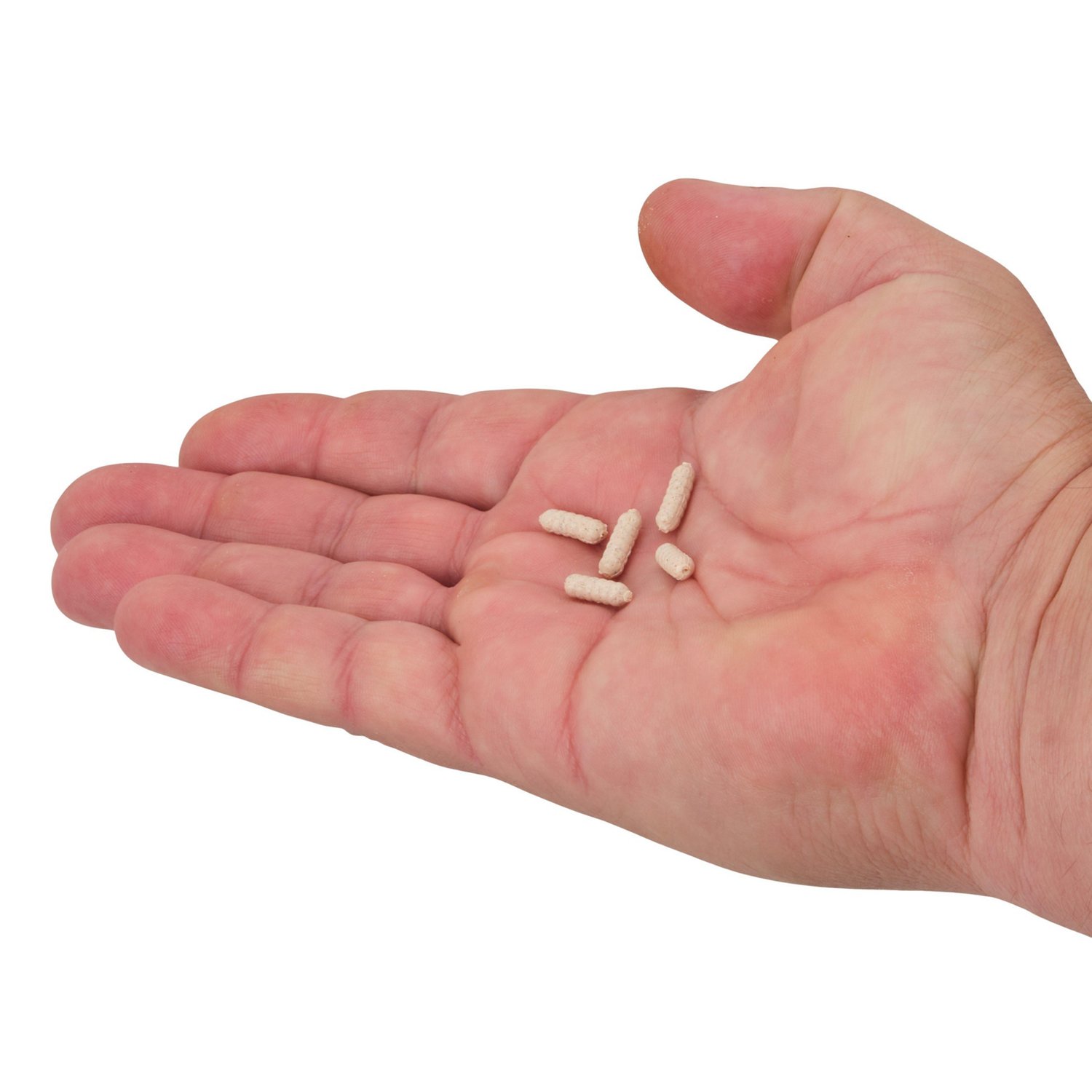 Berkley PowerBait Power Wigglers 75-Pack - view number 3