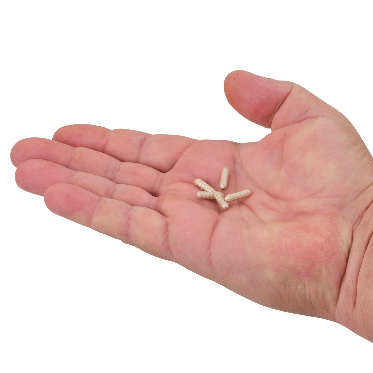 Berkley PowerBait Power Wigglers 75-Pack - view number 3