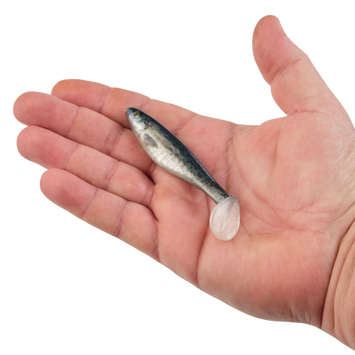 Berkley PowerBait The Champ Swimmer 3.8 inch 6 Pack - view number 3