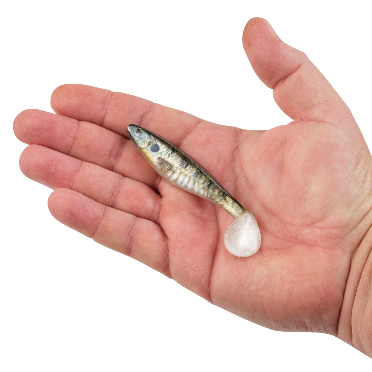 Berkley PowerBait The Champ Swimmer 3.8 inch 6 Pack - view number 3