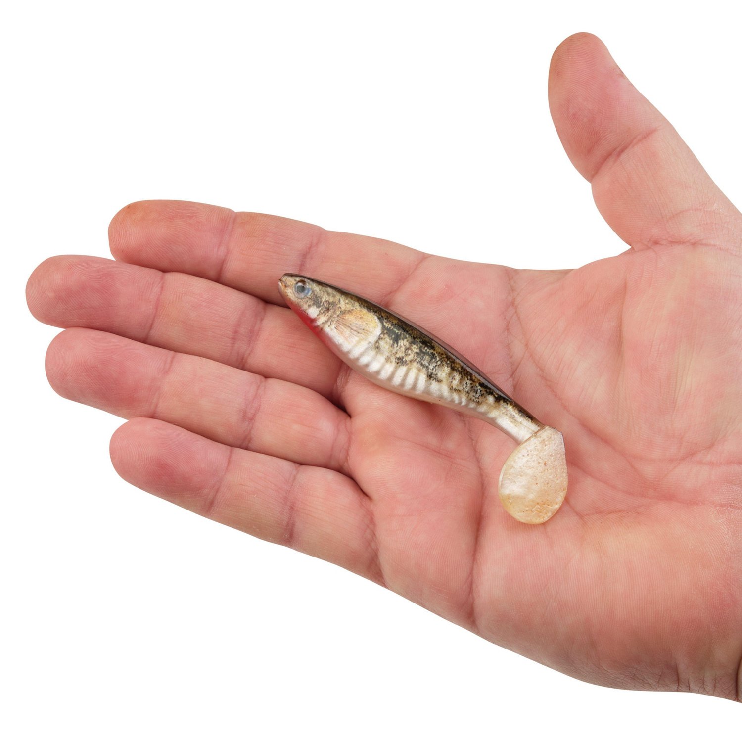 Berkley PowerBait The Champ Swimmer 3.8 inch 6 Pack - view number 3