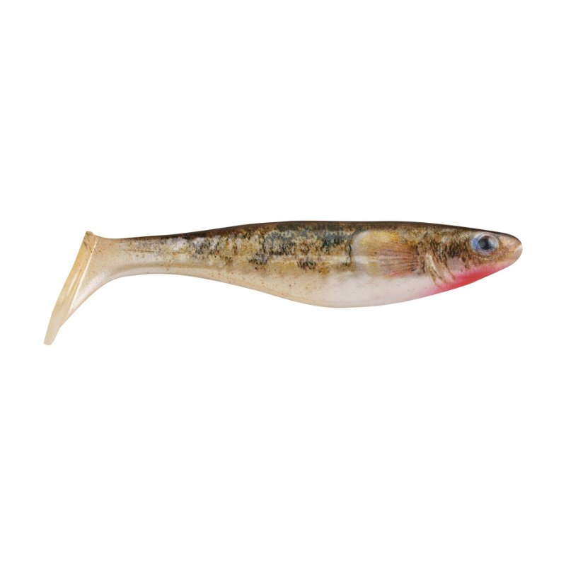 Berkley PowerBait The Champ Swimmer 3.8 inch 6 Pack Hd Red Belly Goby - Frsh Wtr Soft Plastic at Academy Sports