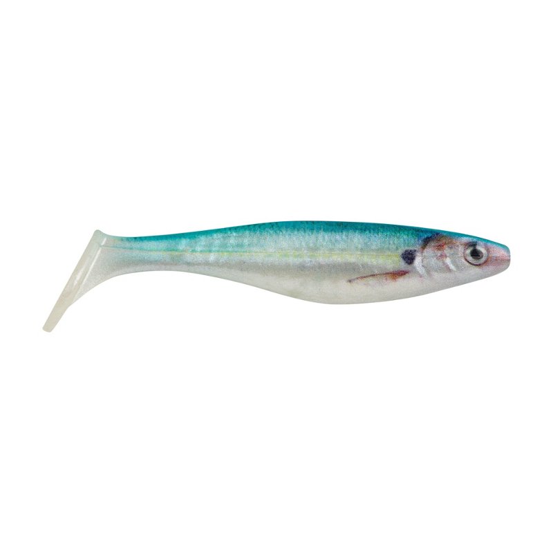 Berkley PowerBait The Champ Swimmer 3.8 inch 6 Pack Hd Sexy Shad - Frsh Wtr Soft Plastic at Academy Sports
