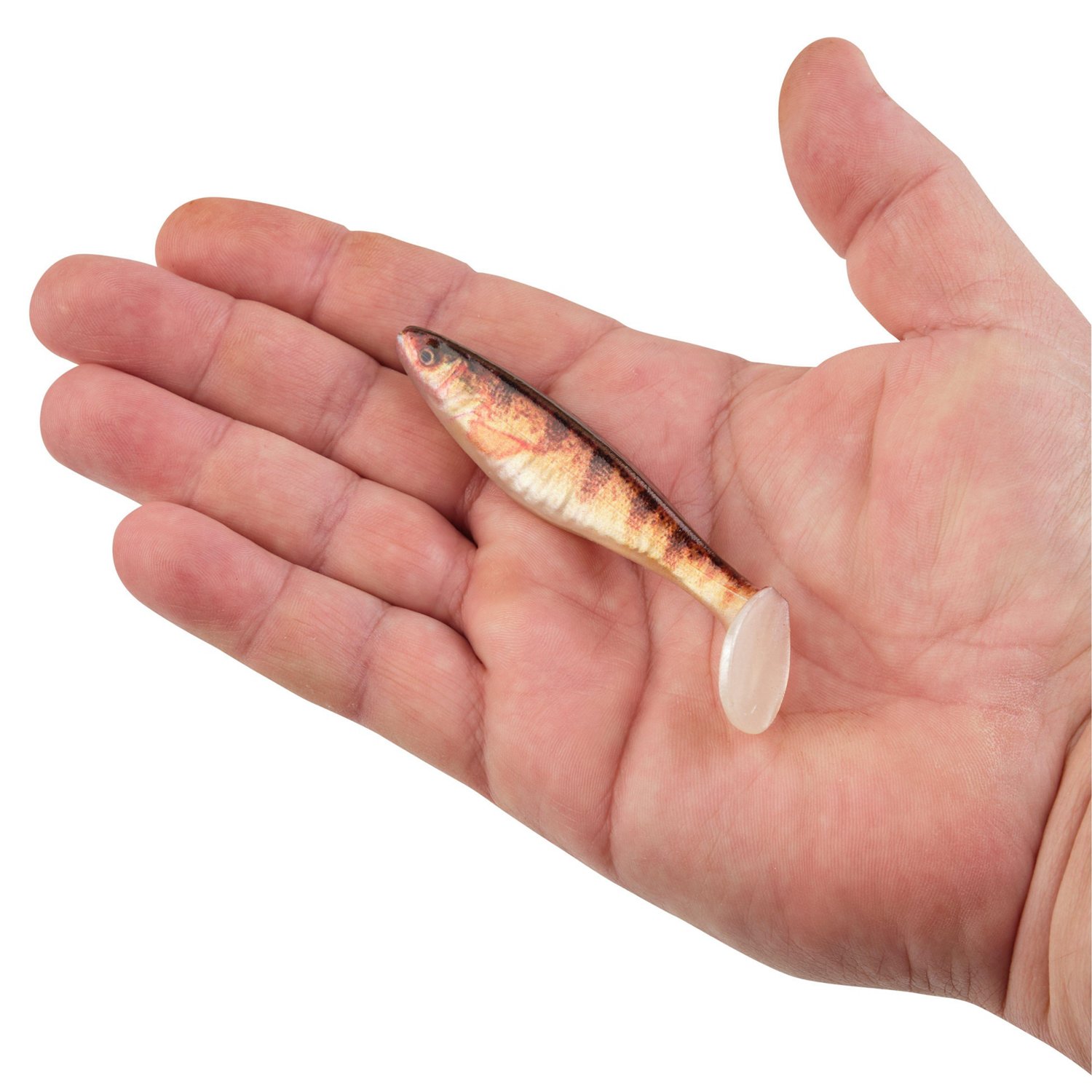 Berkley PowerBait The Champ Swimmer 3.8 inch 6 Pack - view number 3