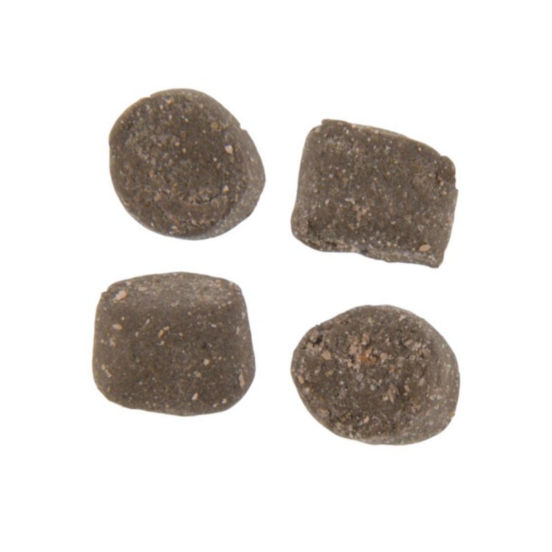 Berkley Powerbait T… - image