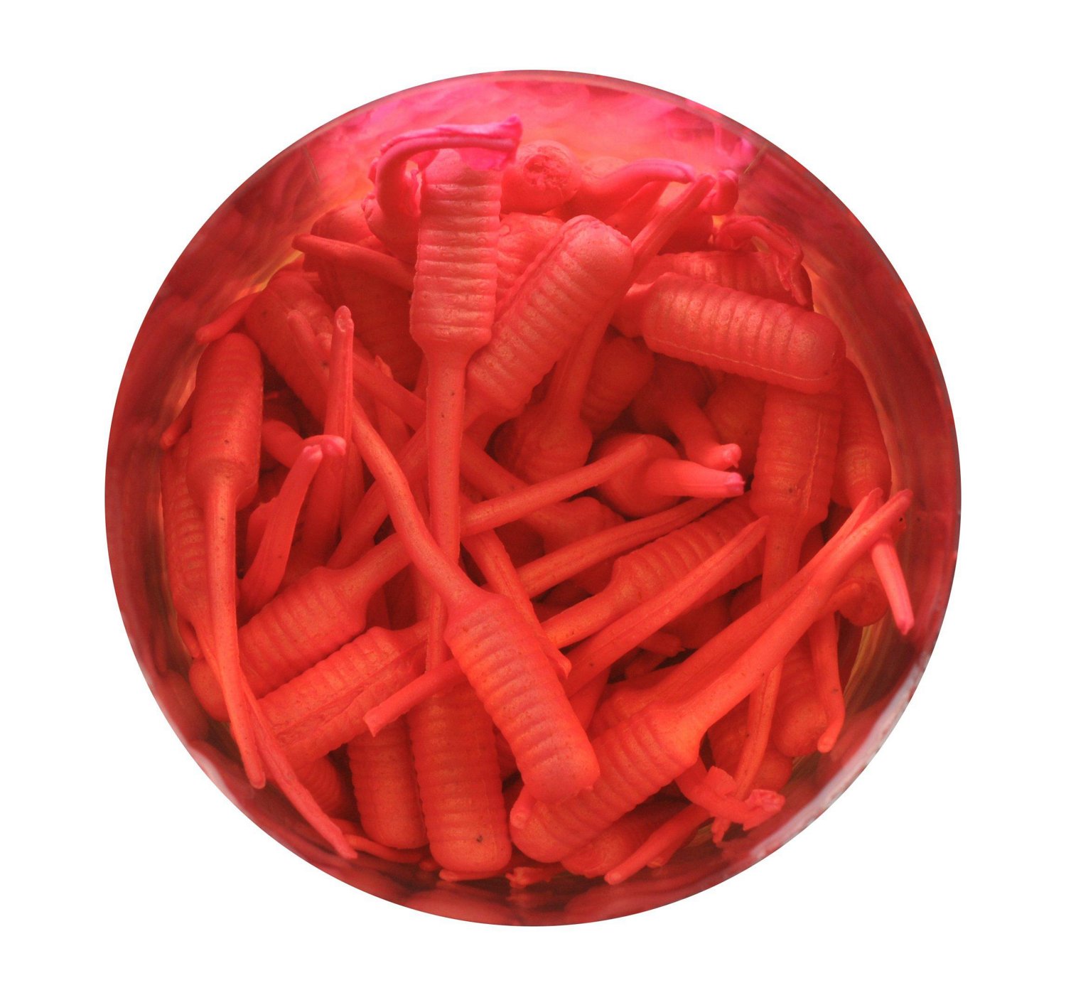 Berkley Gulp! Alive Fish Fry 1 in Jar - view number 3