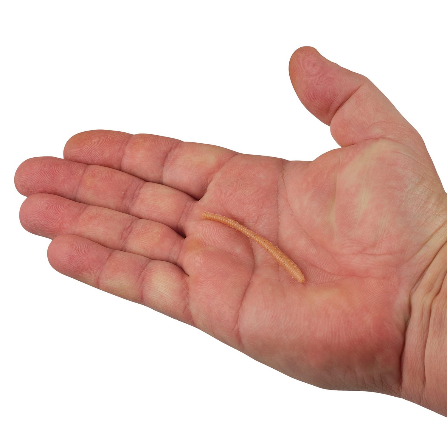 Berkley PowerBait Power Floating Trout Worm 3 in 15-Pack - view number 3