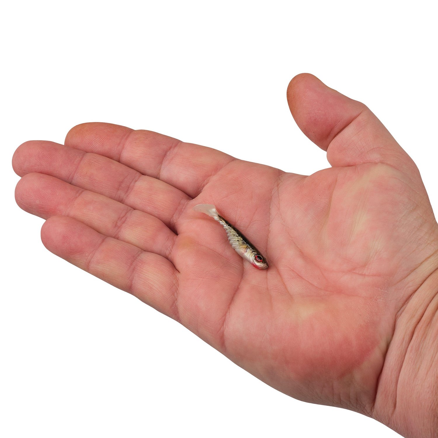 Berkley PowerBait Ripple Shad 2 in Smelt Soft Bait 8-Pack  - view number 4