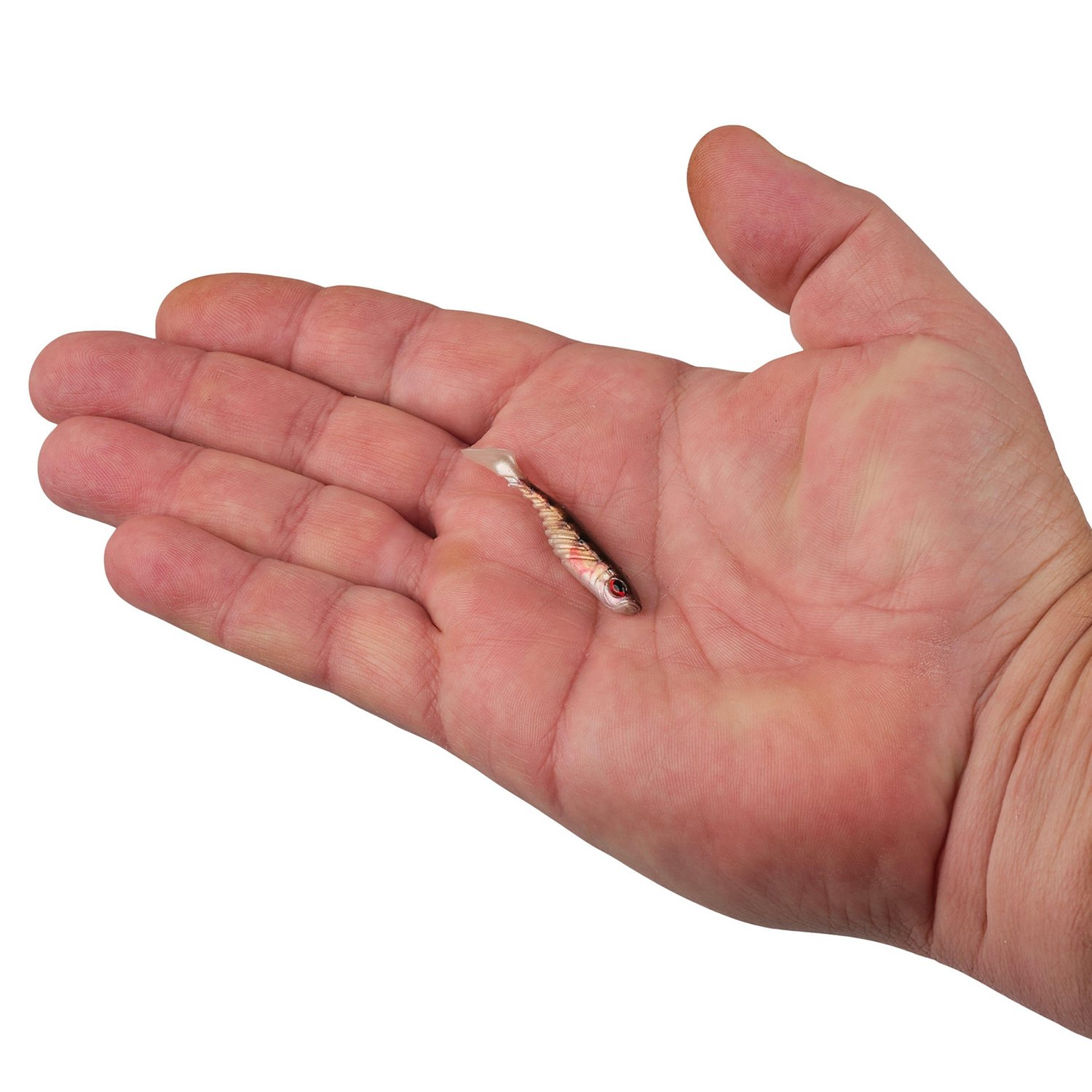 Berkley PowerBait Ripple Shad 2 in Smelt Soft Bait 8-Pack  - view number 4