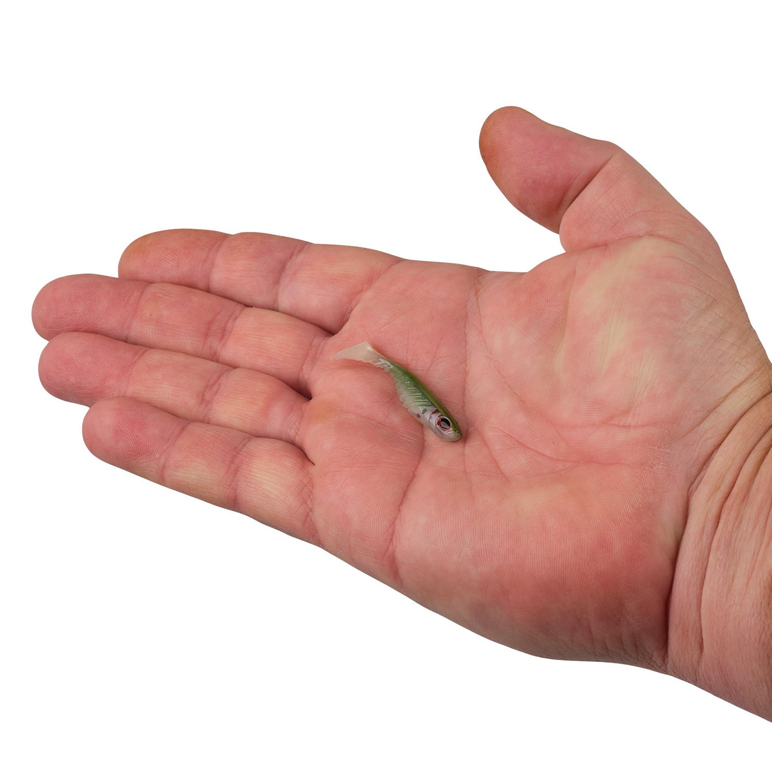 Berkley PowerBait Ripple Shad 2 in Smelt Soft Bait 8-Pack - view number 4