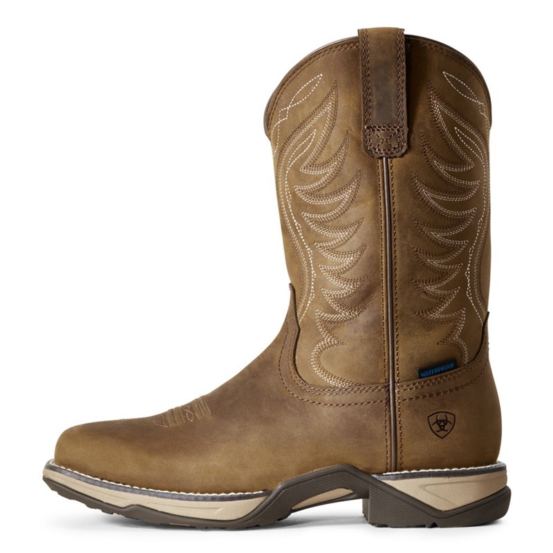 Ariat Women's Anthe… - image