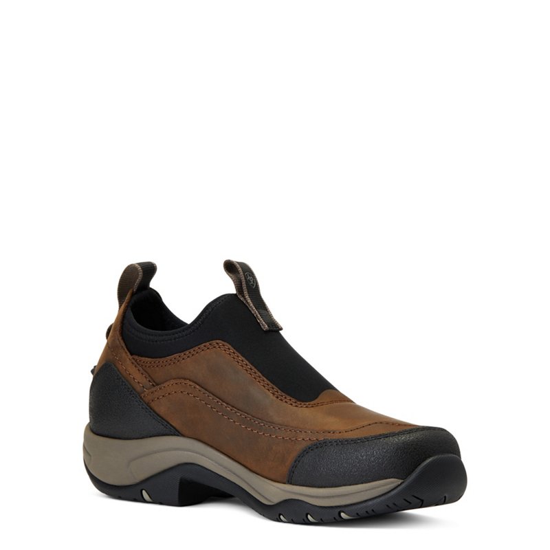Ariat Women's Terra… - image