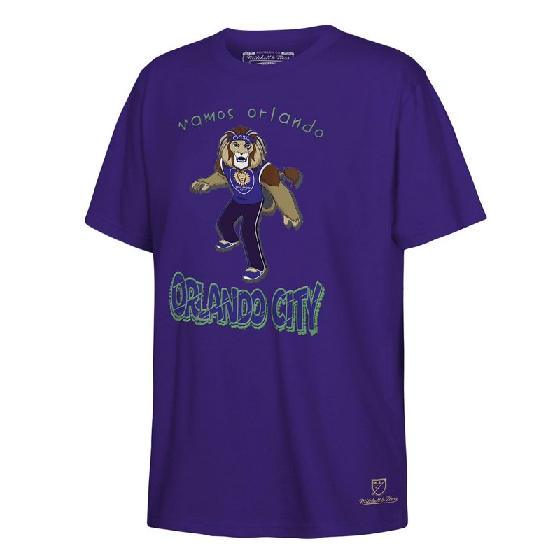 Youth Mitchell Ness… - image