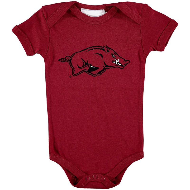 Arkansas Razorbacks… - image