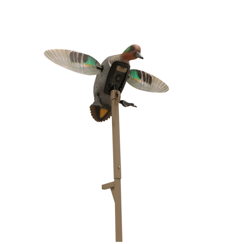 MOJO Outdoors Elite Series Green Wing Teal Remote Ready 3 Pin Duck Decoy - Decoys And Accessoriesories at Academy Sports