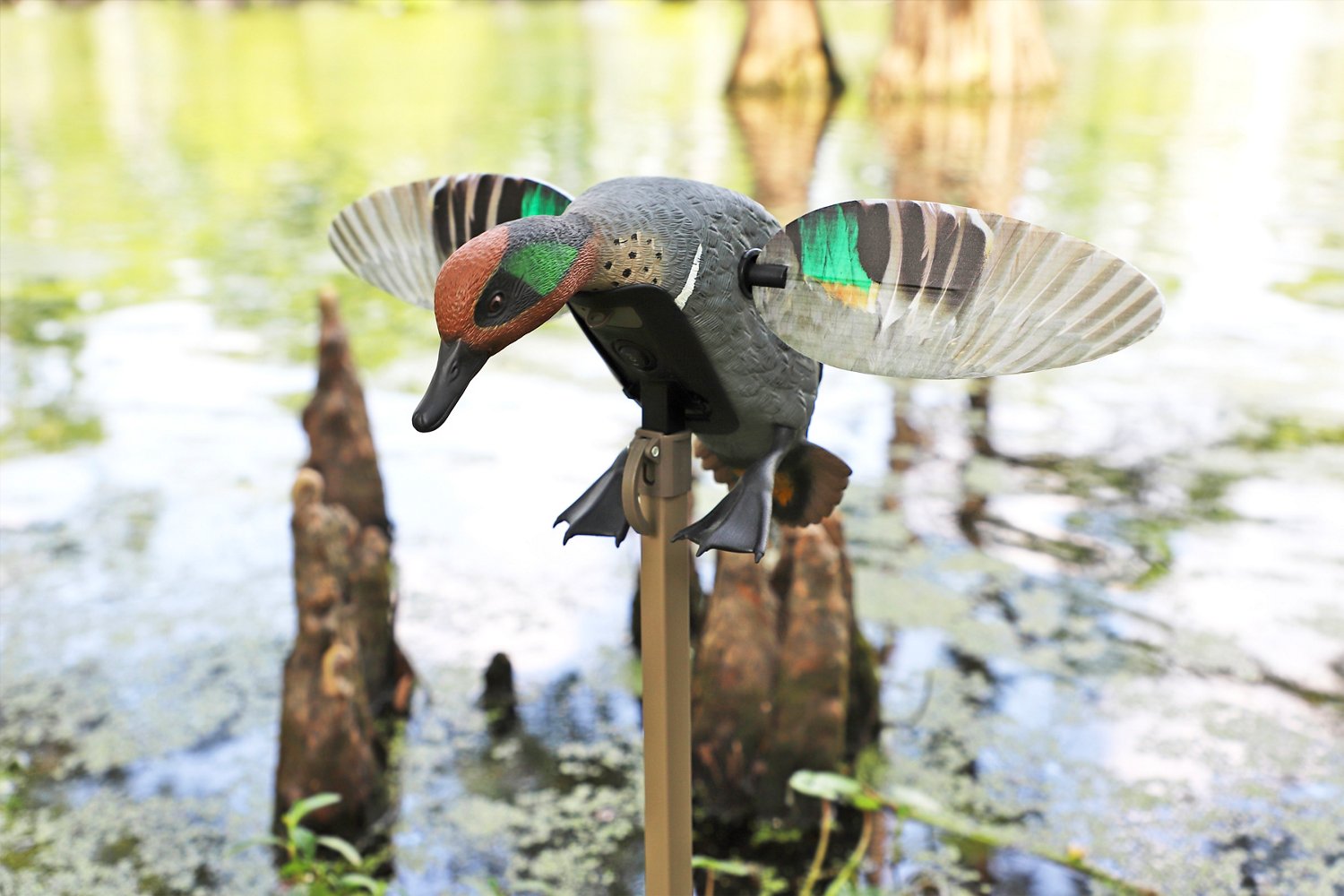 MOJO Outdoors Elite Series Green Wing Teal Remote Ready 3 Pin Duck Decoy - view number 2
