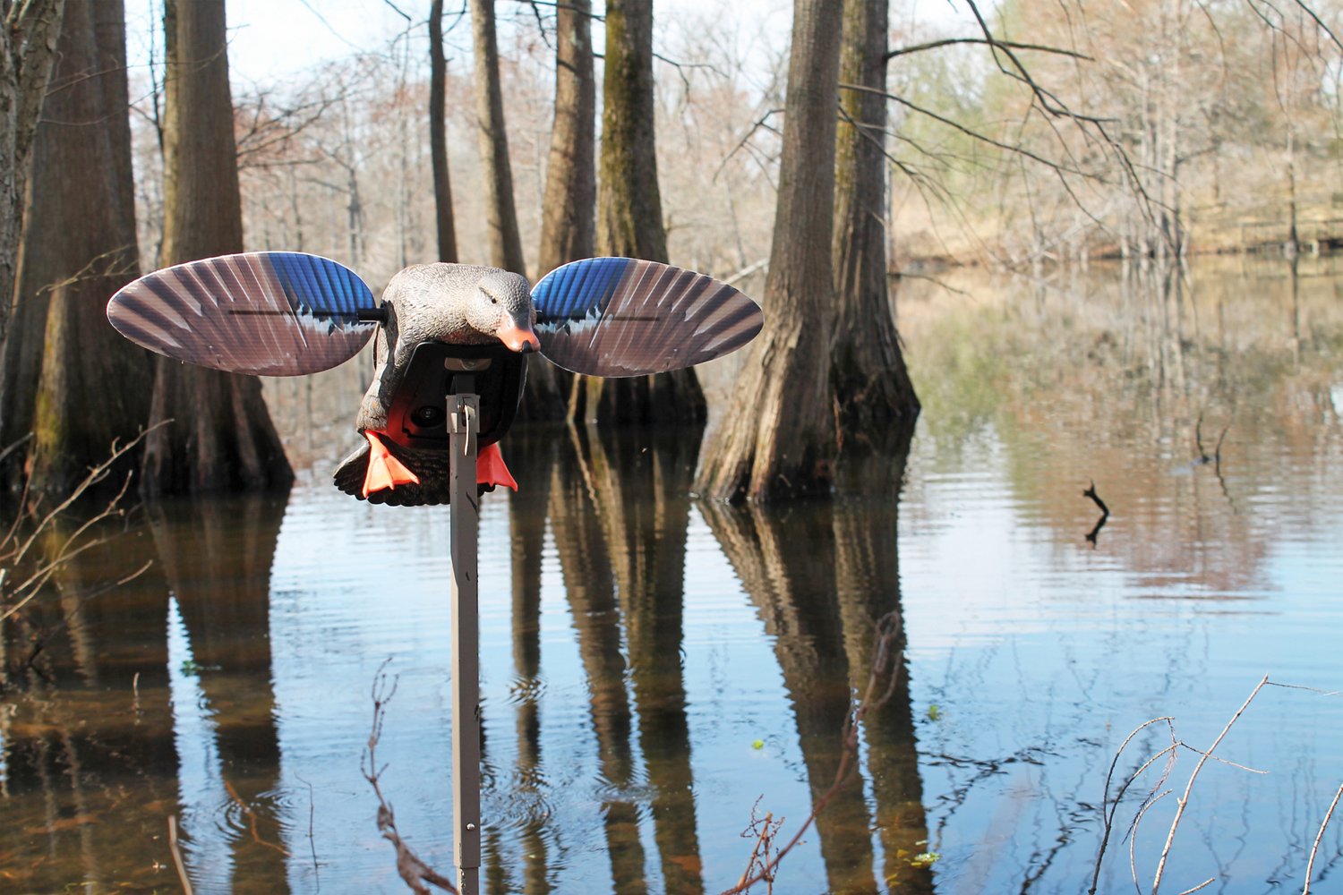 MOJO Outdoors Elite Series Mini Mallard Hen                                                                                      - view number 5