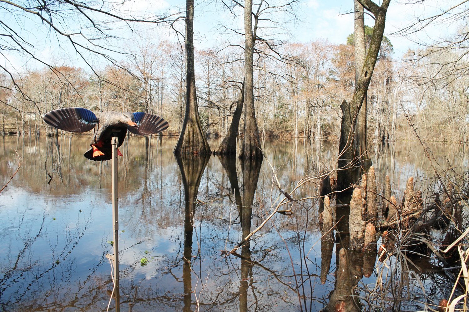 MOJO Outdoors Elite Series Mini Mallard Hen                                                                                      - view number 3