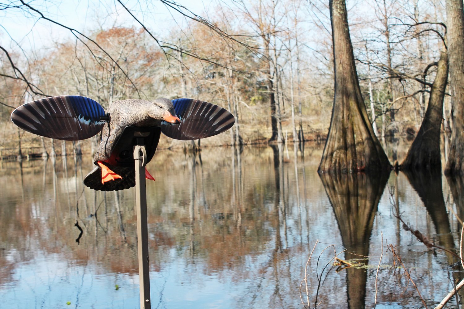 MOJO Outdoors Elite Series Mini Mallard Hen                                                                                      - view number 4