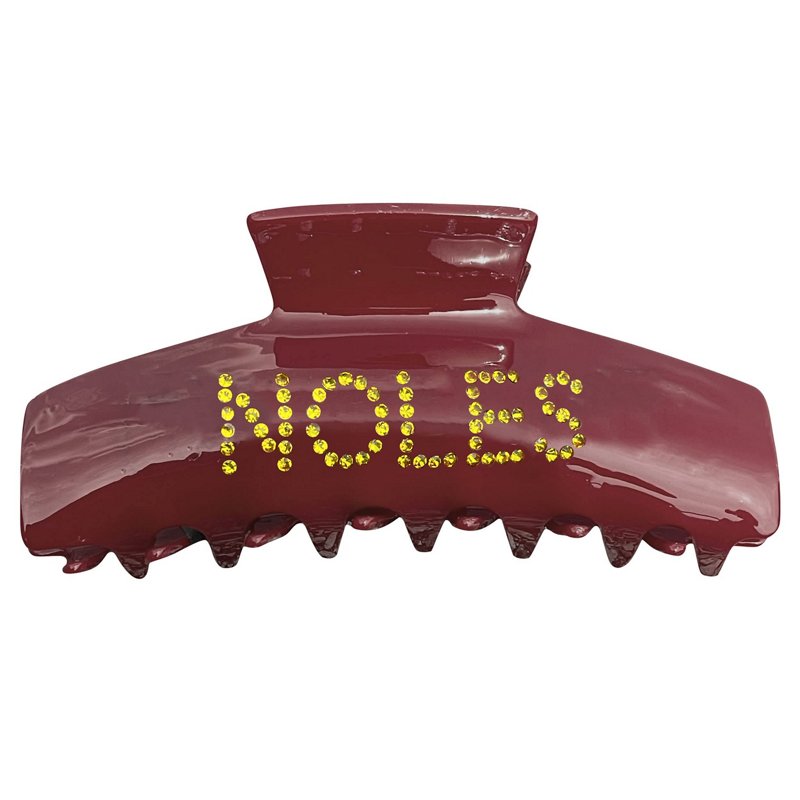 Florida State Semin… - image
